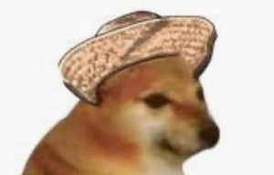 Meet your Posher, Ray